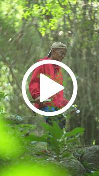 BIB:  <button type="button" onclick="openModal(27935216)" class="btn btn-primary btn-sm float-right" data-toggle="modal" data-target=".modal-high-quality">
                <i class="fa fa-download"></i> Download
                </button>